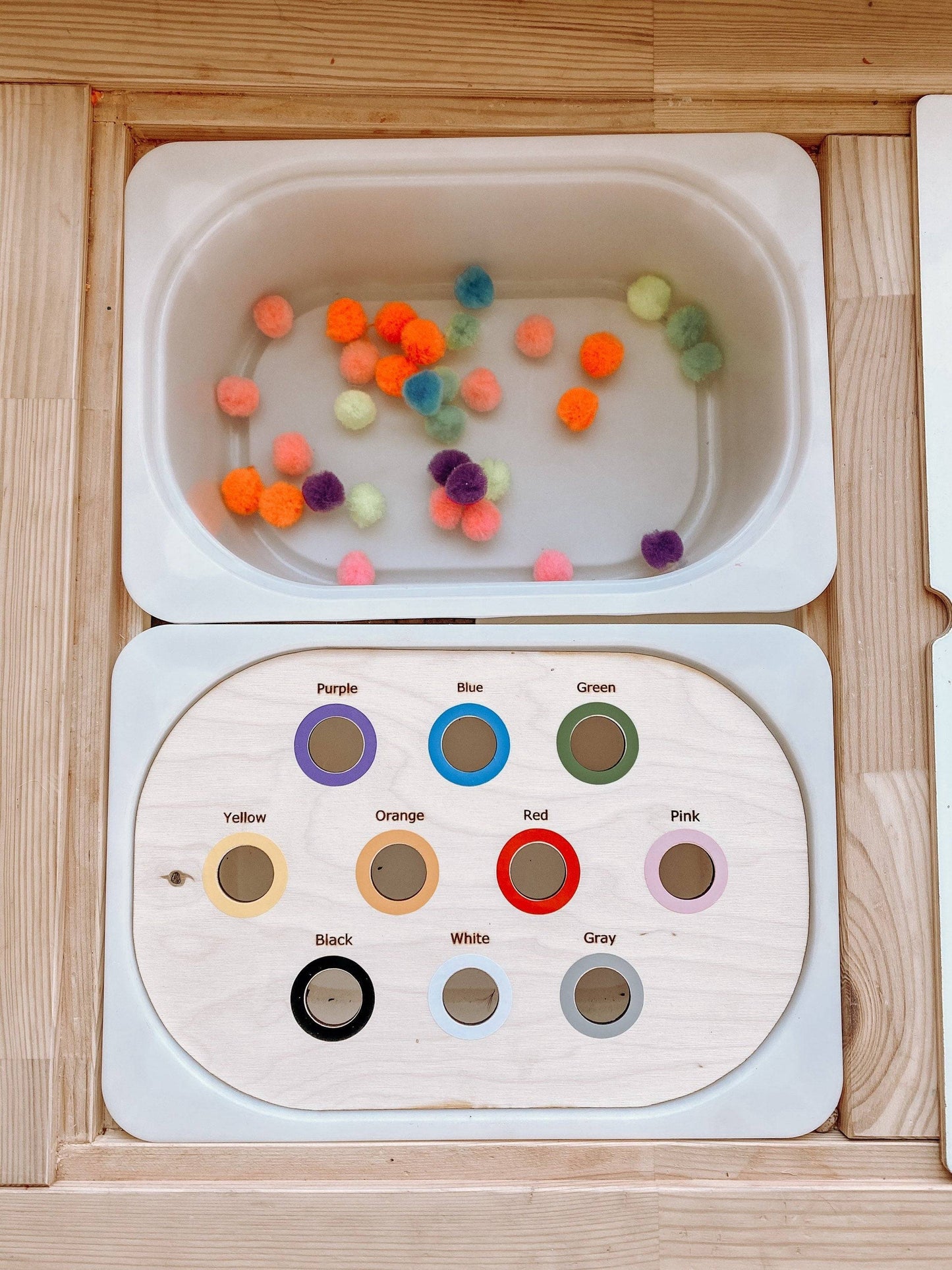 Color Sort Sensory Bin Insert