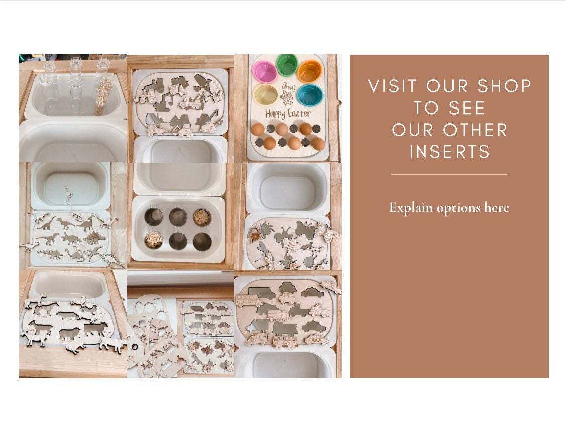 Color Sort Sensory Bin Insert