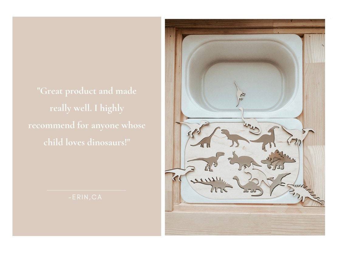 Dinosaur Sensory Bin Insert