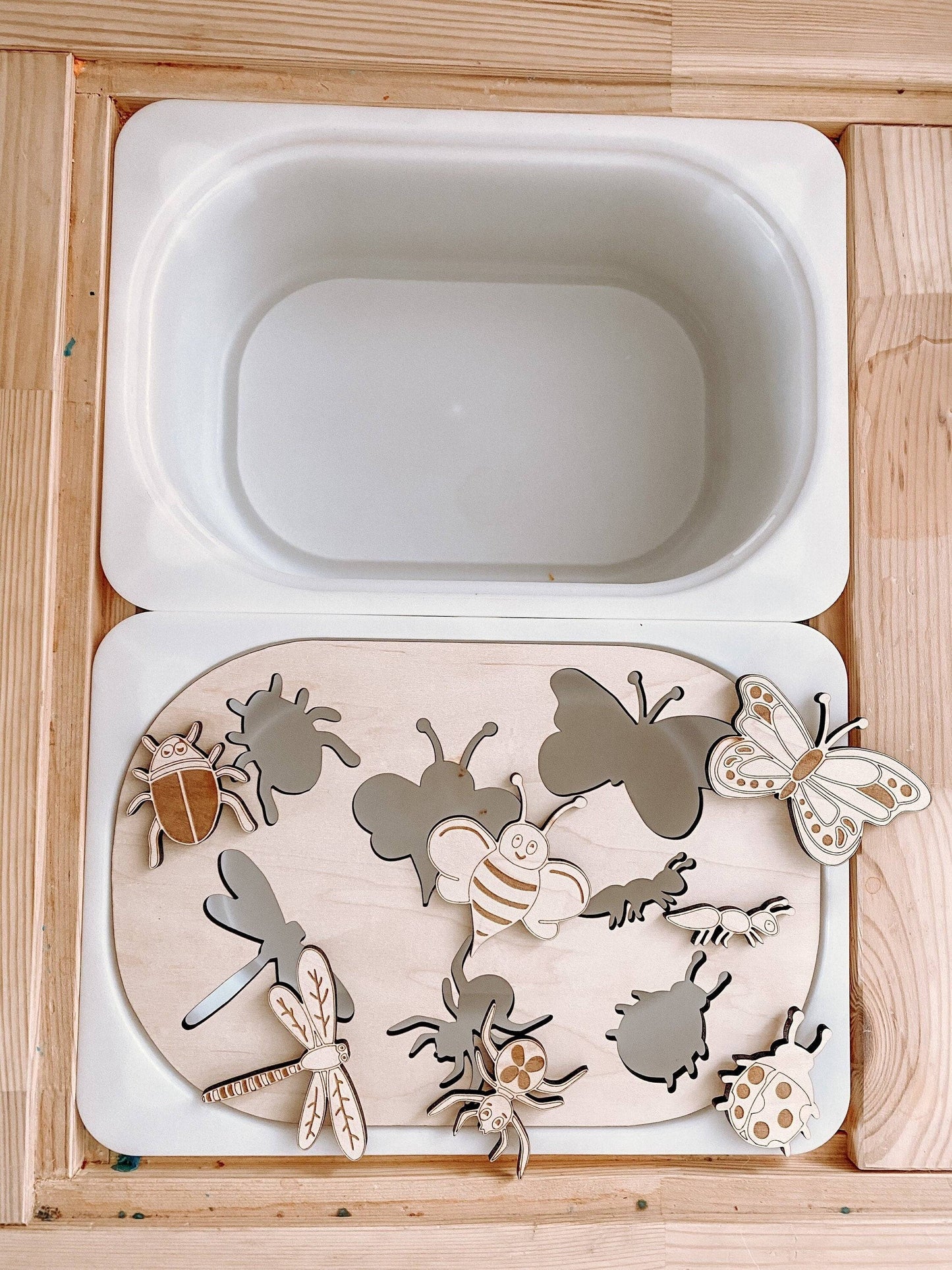 Bug Sensory Bin Insert