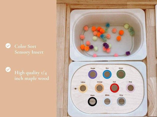 Color Sort Sensory Bin Insert